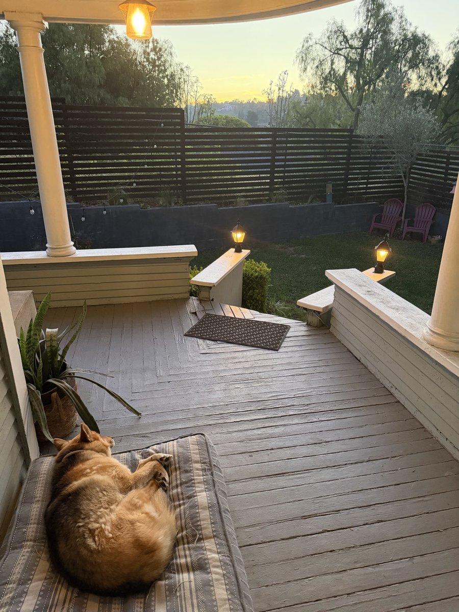 Alan Frow tweet media