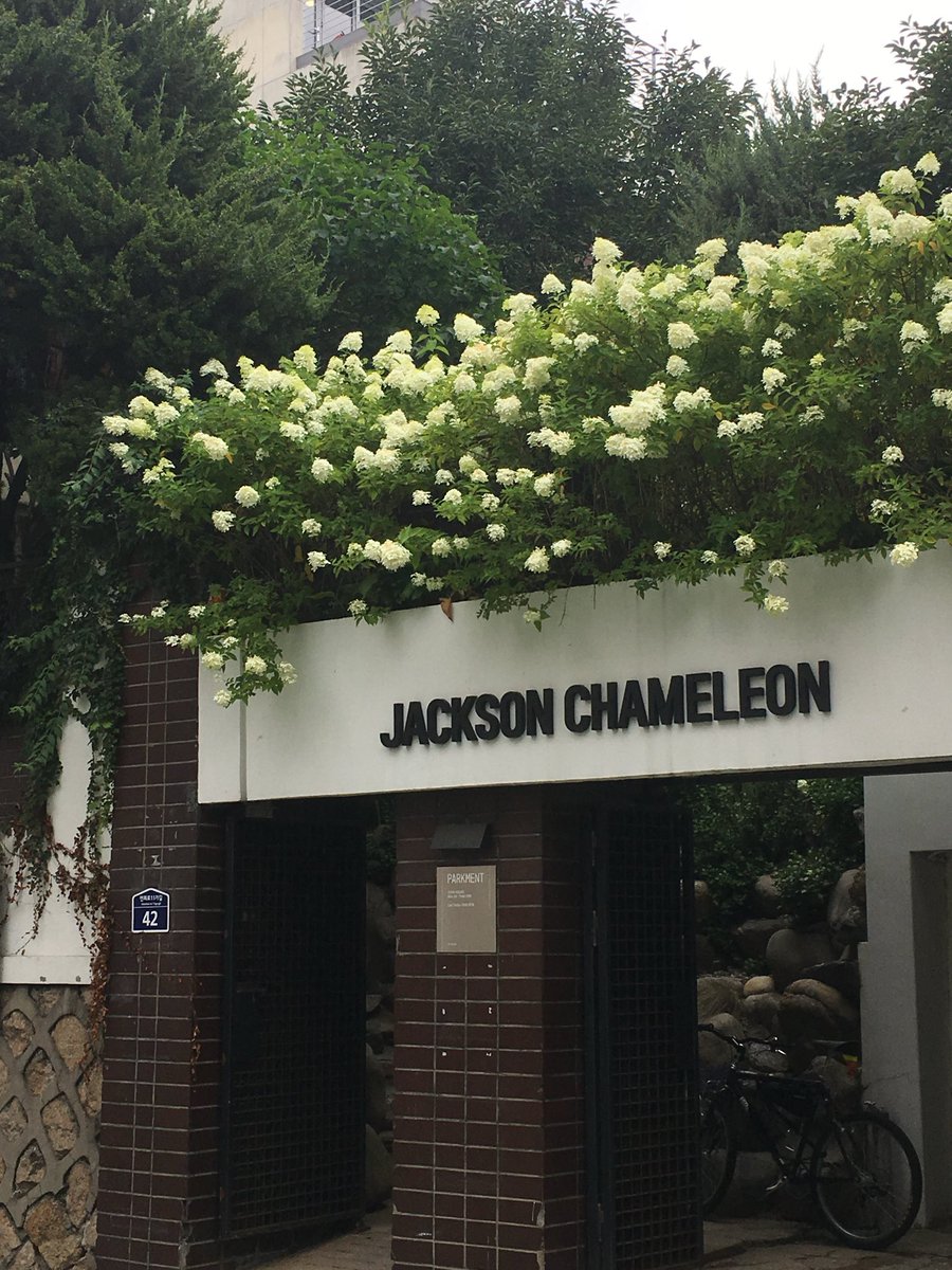 ๊ฑ์๋๊น tweet media