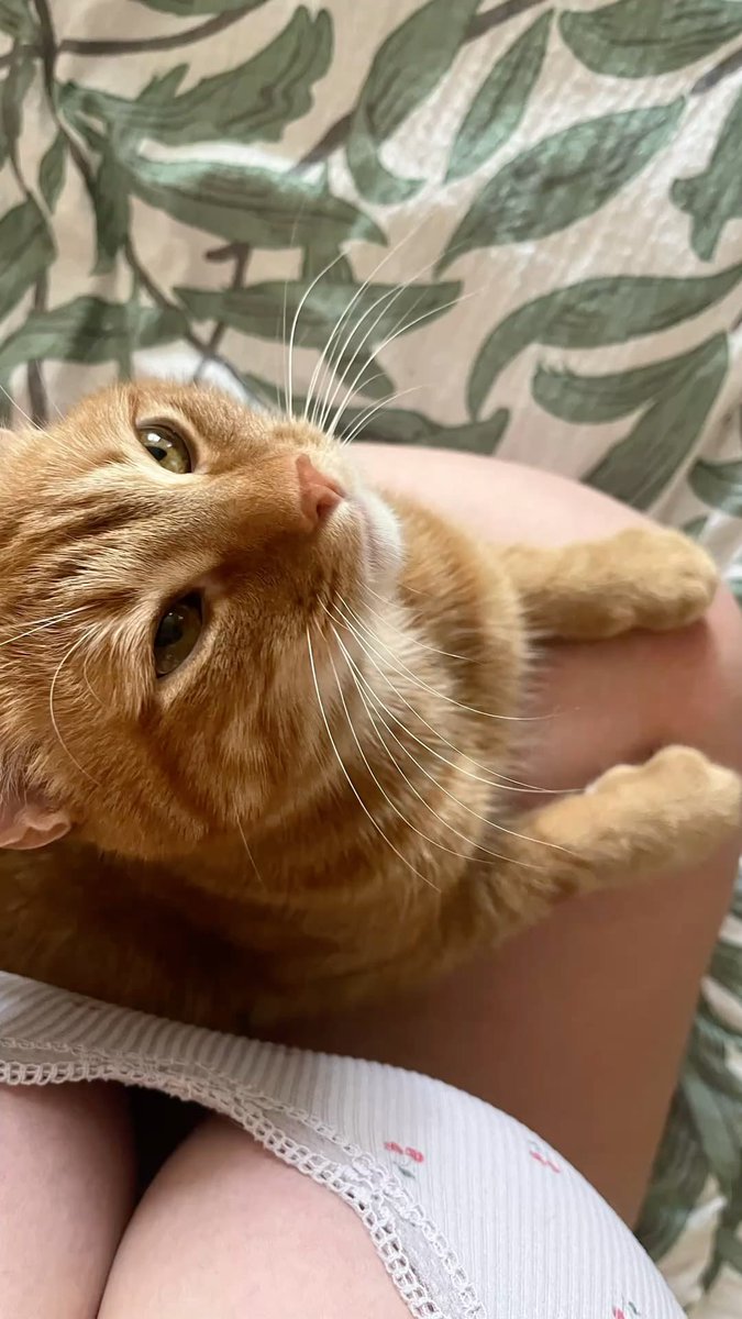 Priyanka J🇮🇳🇺🇸 tweet media