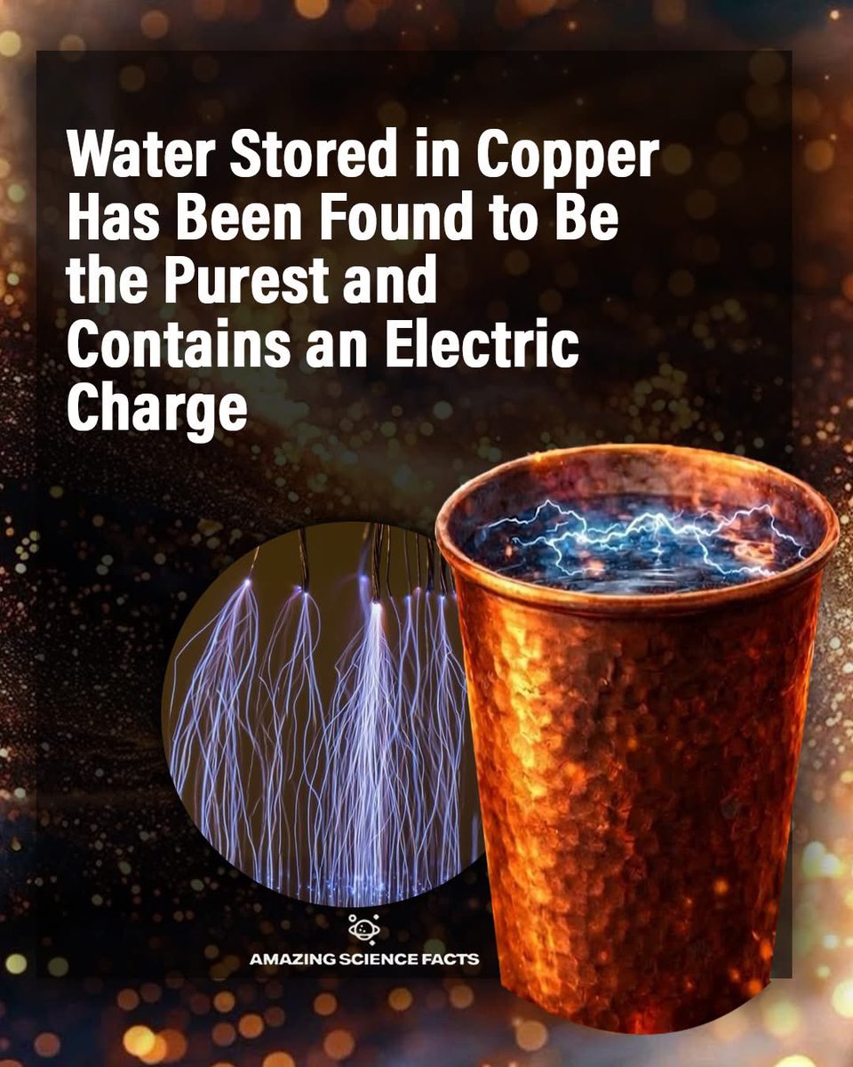 🧬Maxpein🧬 tweet media