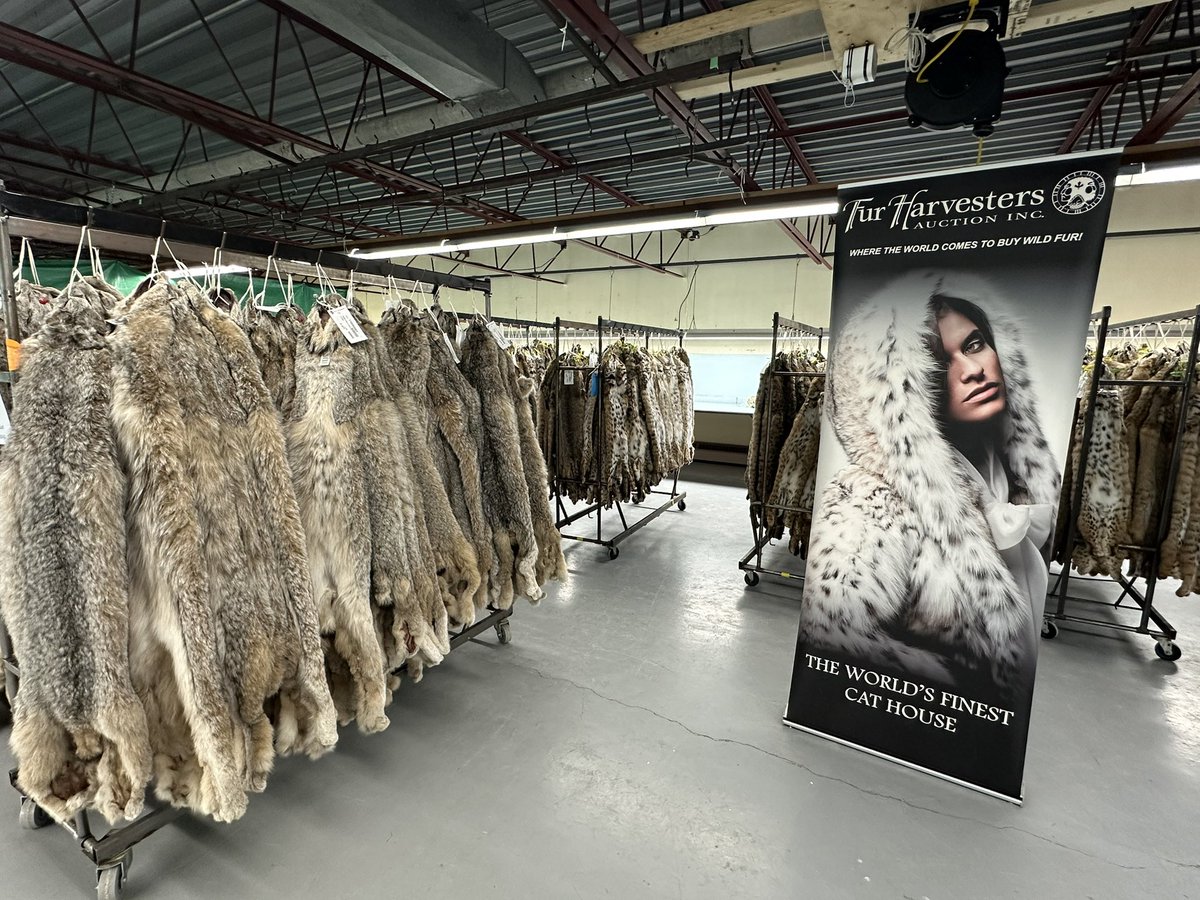 Victor Fedeli tweet media