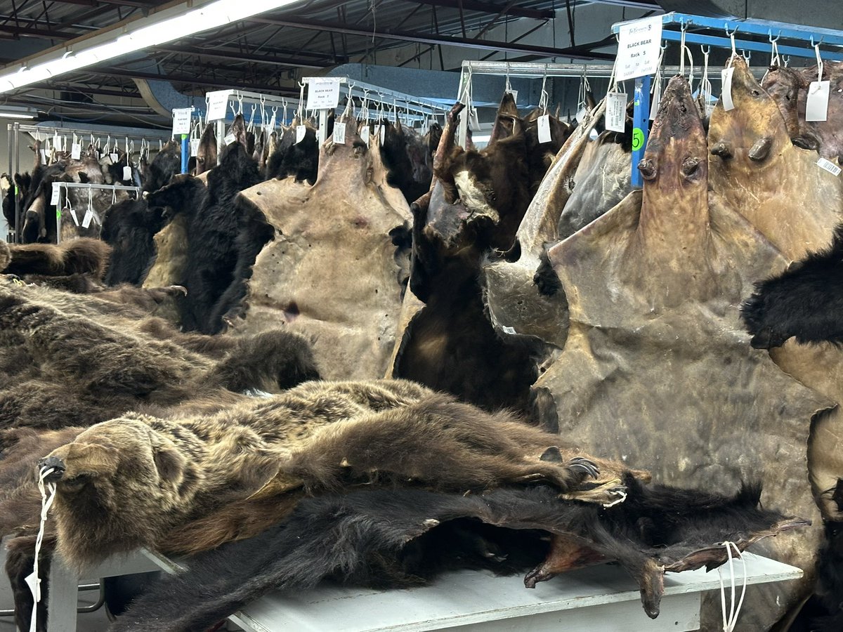 Victor Fedeli tweet media