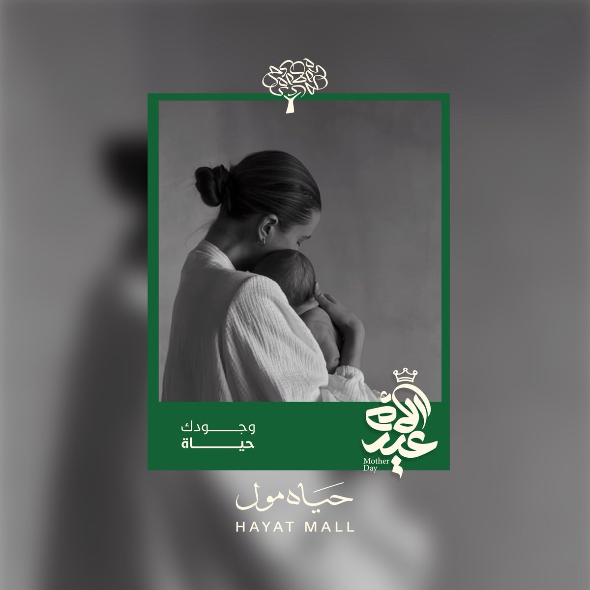 حياة مول | Hayat Mall tweet media