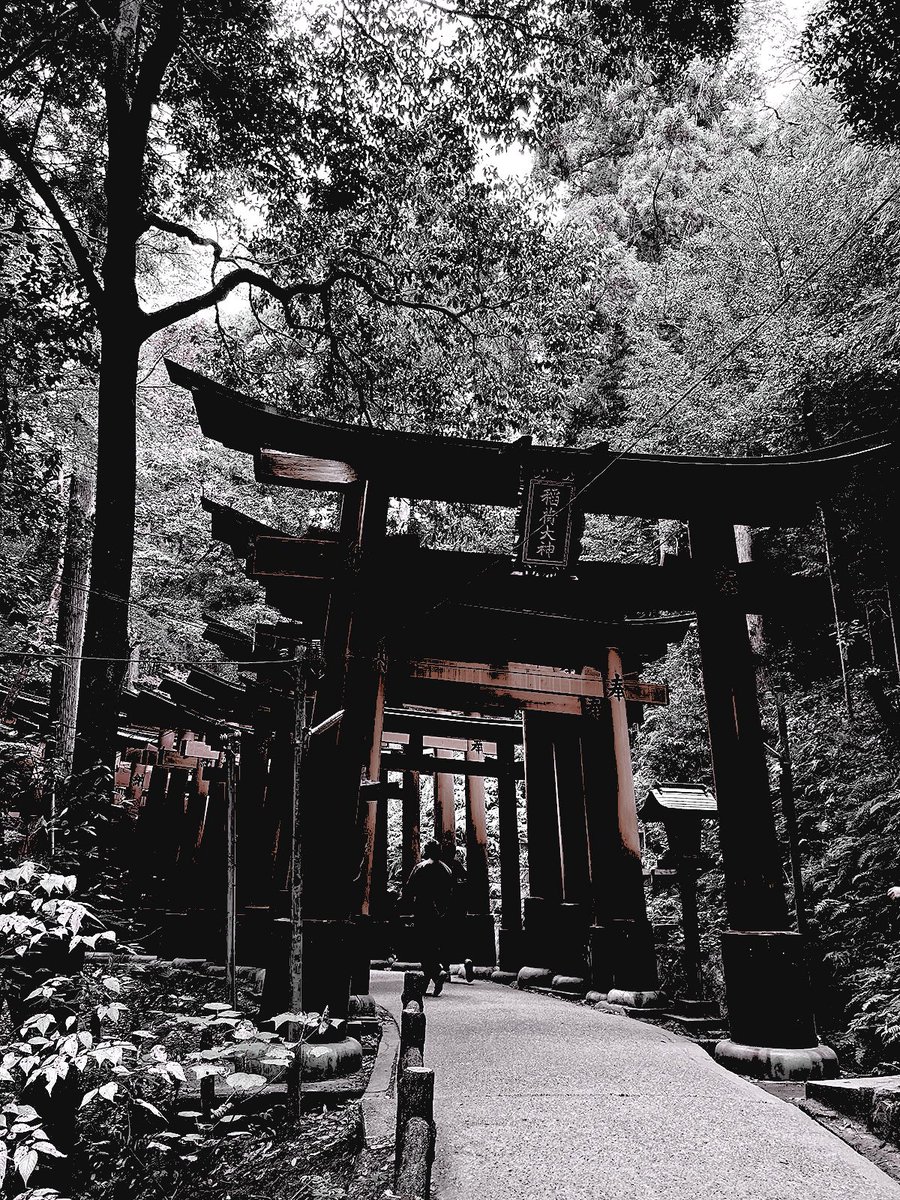 ** ‍ ‍ 𝐃̳𝐑̳𝐄̳𝐀̳𝐌̳ ‍ 𝐆𝐈𝐑𝐋 ‍ .ᐟ tweet media