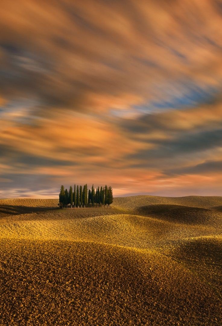 Gianni® tweet media