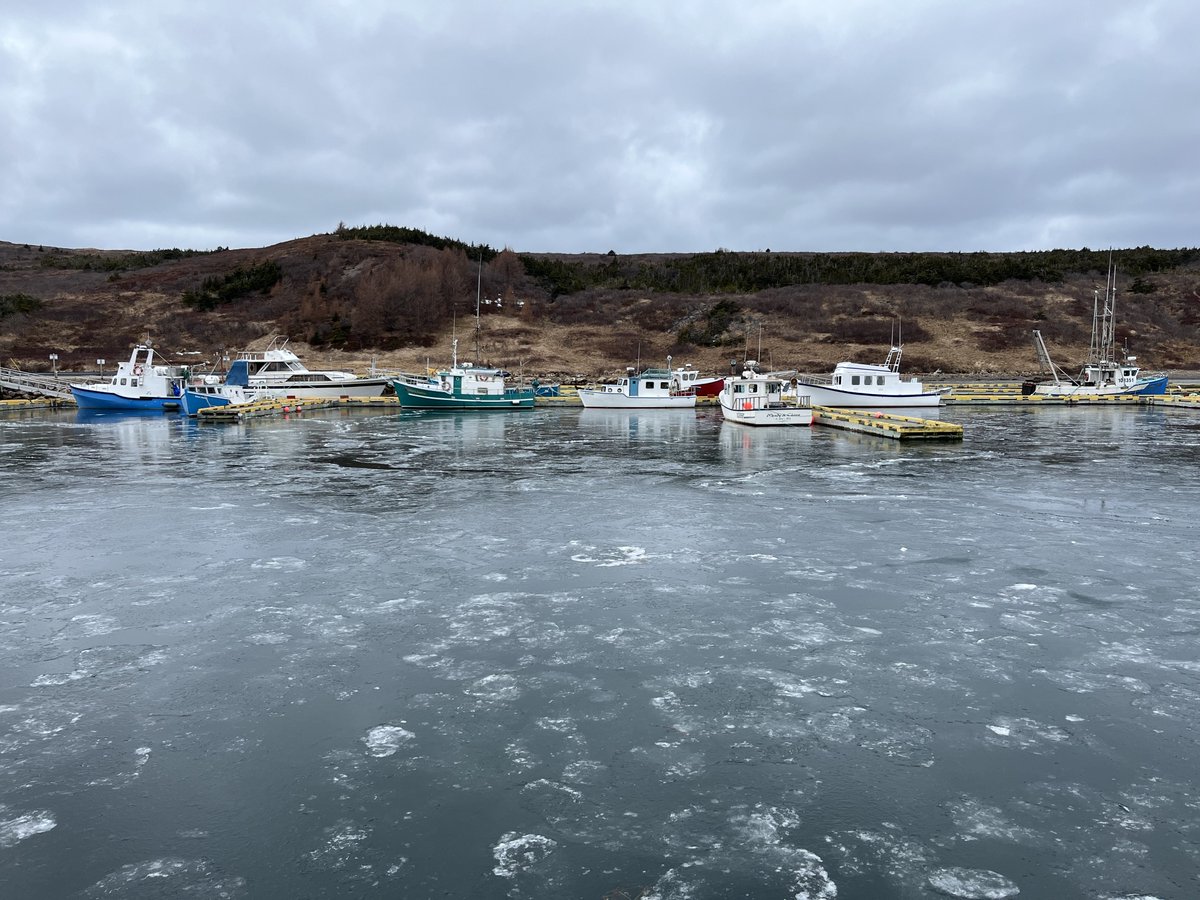 Fortune Harbour, #NLWX