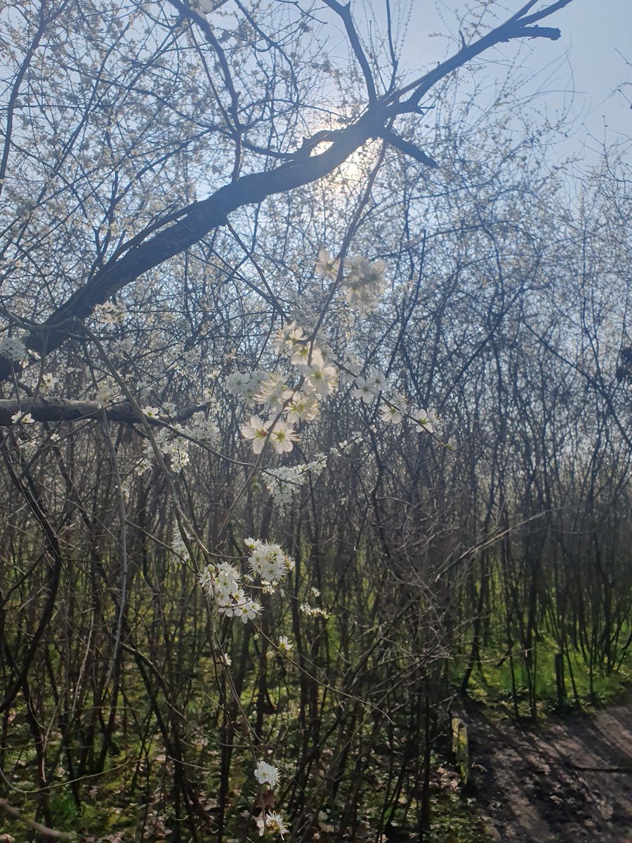 RopesToInfinity tweet media