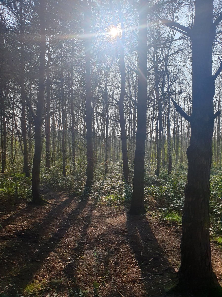 RopesToInfinity tweet media