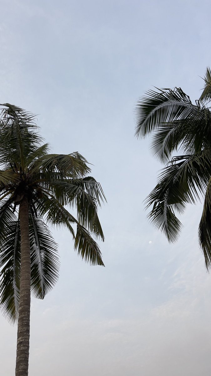 Augustin Dehoumon 📸🎥 tweet media