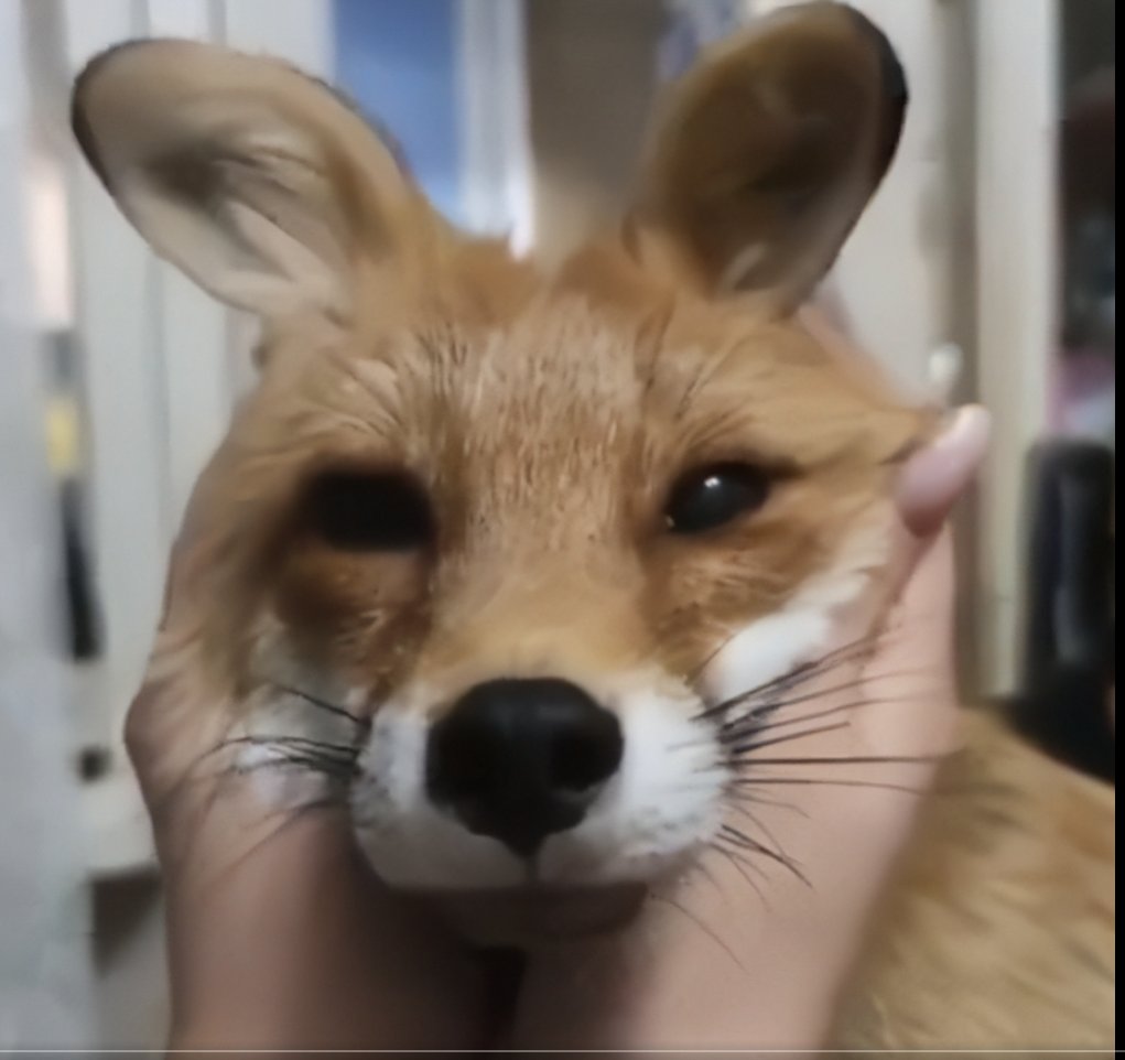 💛 Soren - Sorteio no Fixado 🎉 tweet media