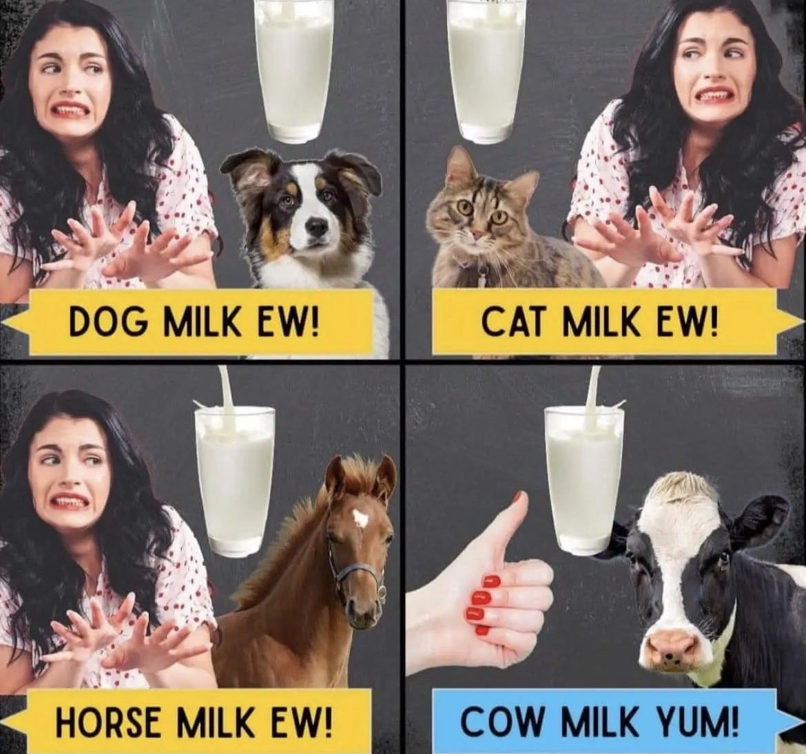 NothingIsArt tweet media