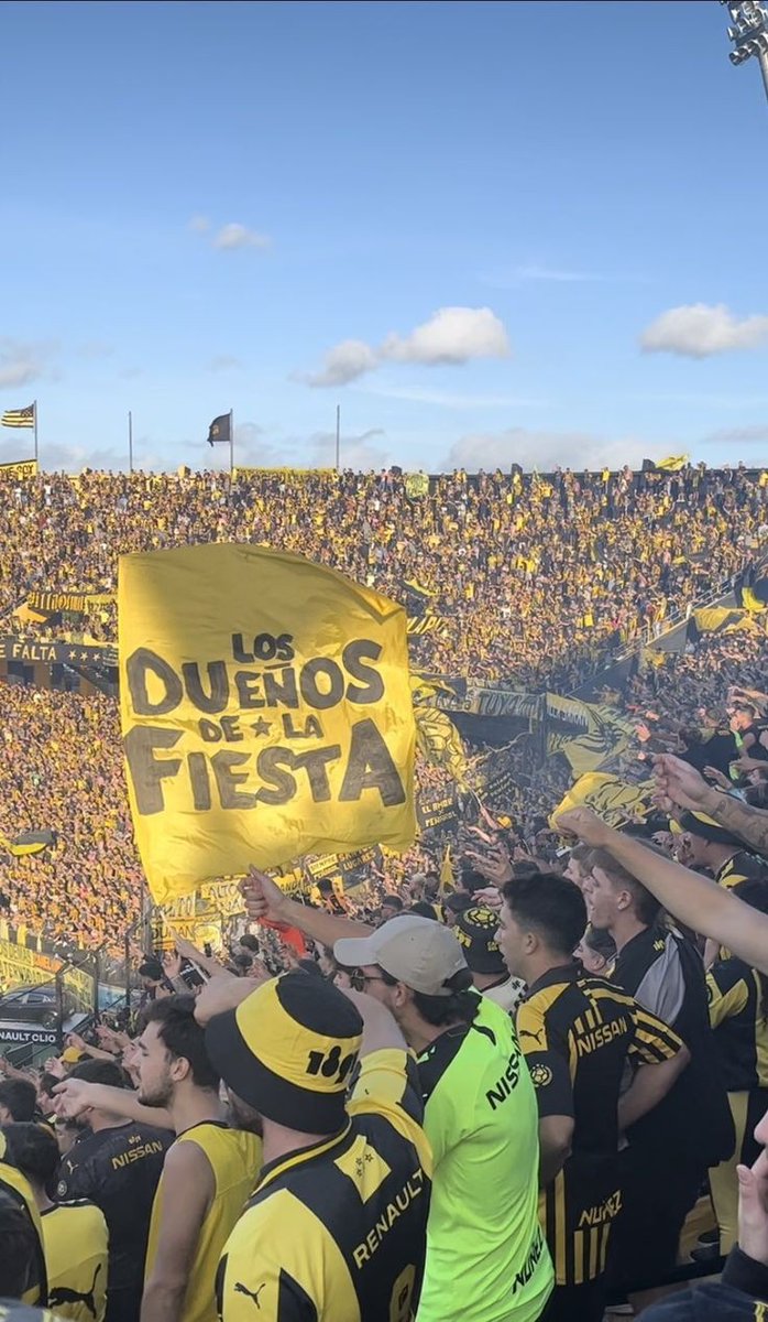 Lodeon 🟨⬛ tweet media