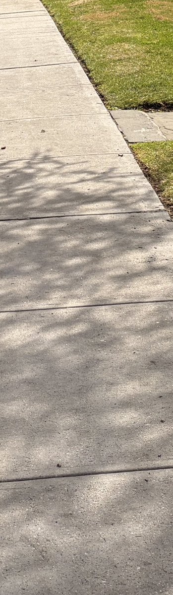 Sentinel tweet media