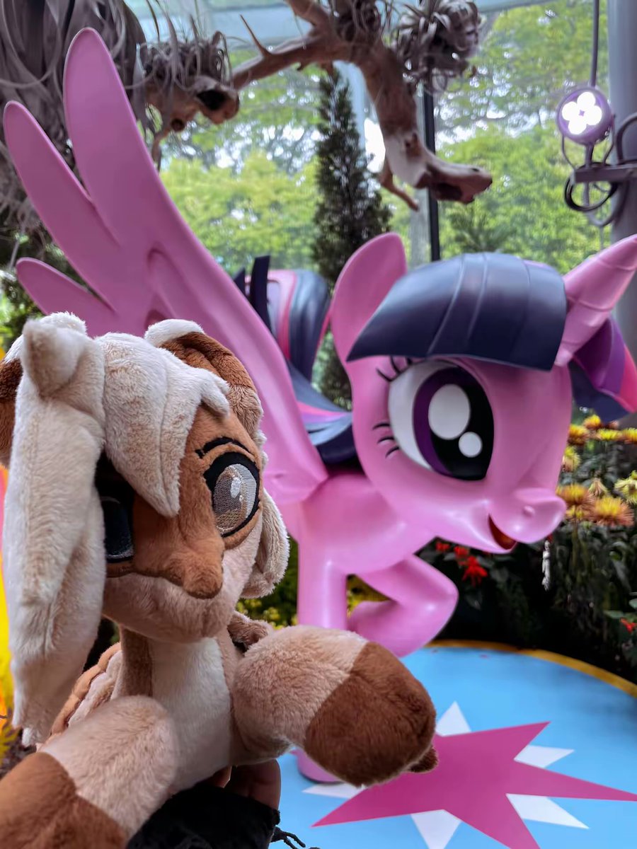 🌿 Amyquel 🔜 LIFC2026 tweet media