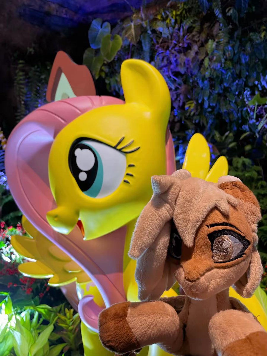 🌿 Amyquel 🔜 LIFC2026 tweet media