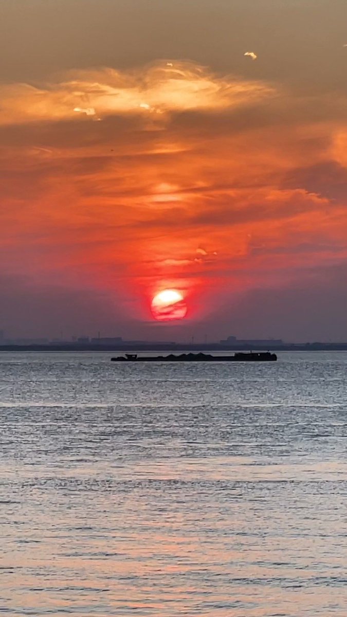 william george tweet media