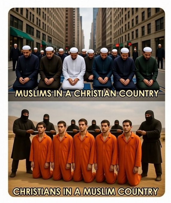 Walkabout tweet media