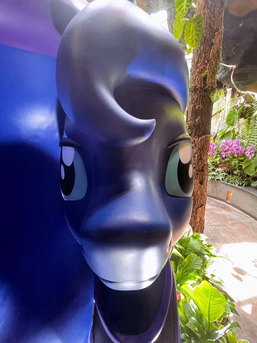 🌿 Amyquel 🔜 LIFC2026 tweet media