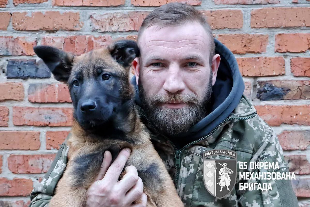 Генеральний штаб ЗСУ tweet media