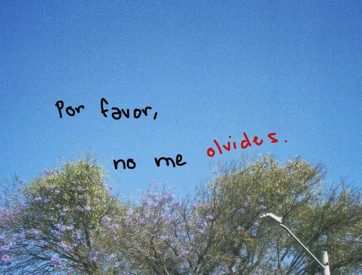 nación (@escritosnacion) on Twitter photo 