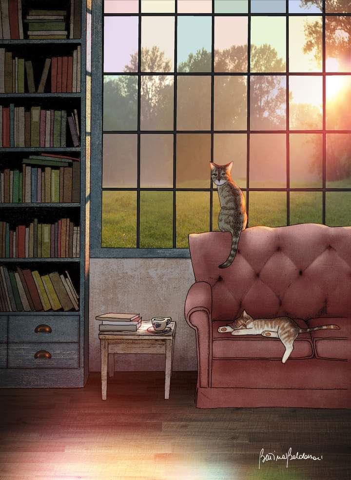 helen warlow tweet media