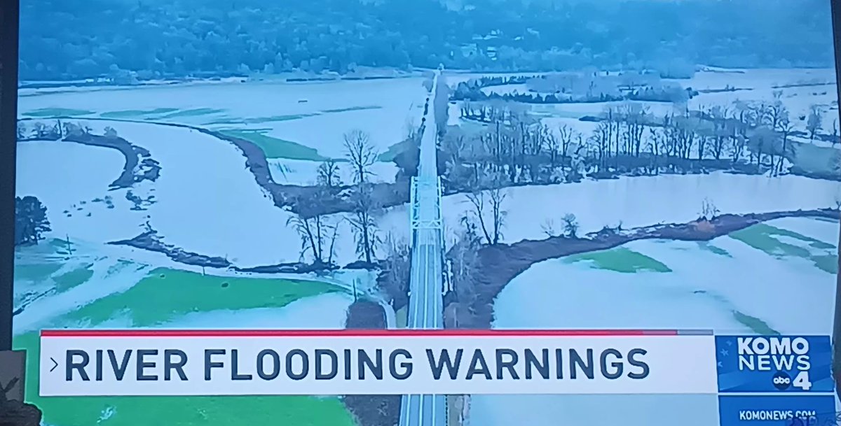 Fruma-Ruth tweet media