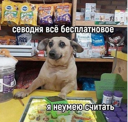 Транспорт в центре ощущается буквально как этот мем