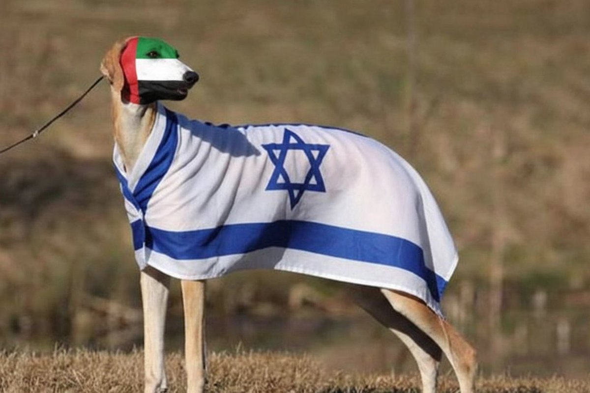 Mohamed Olad tweet media