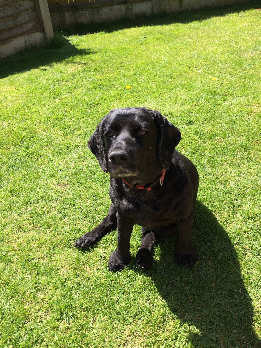 simon fleming tweet media