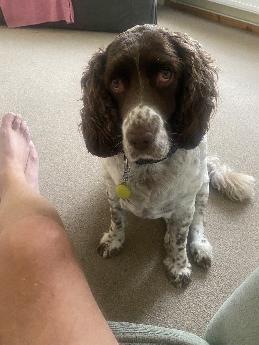 simon fleming tweet media