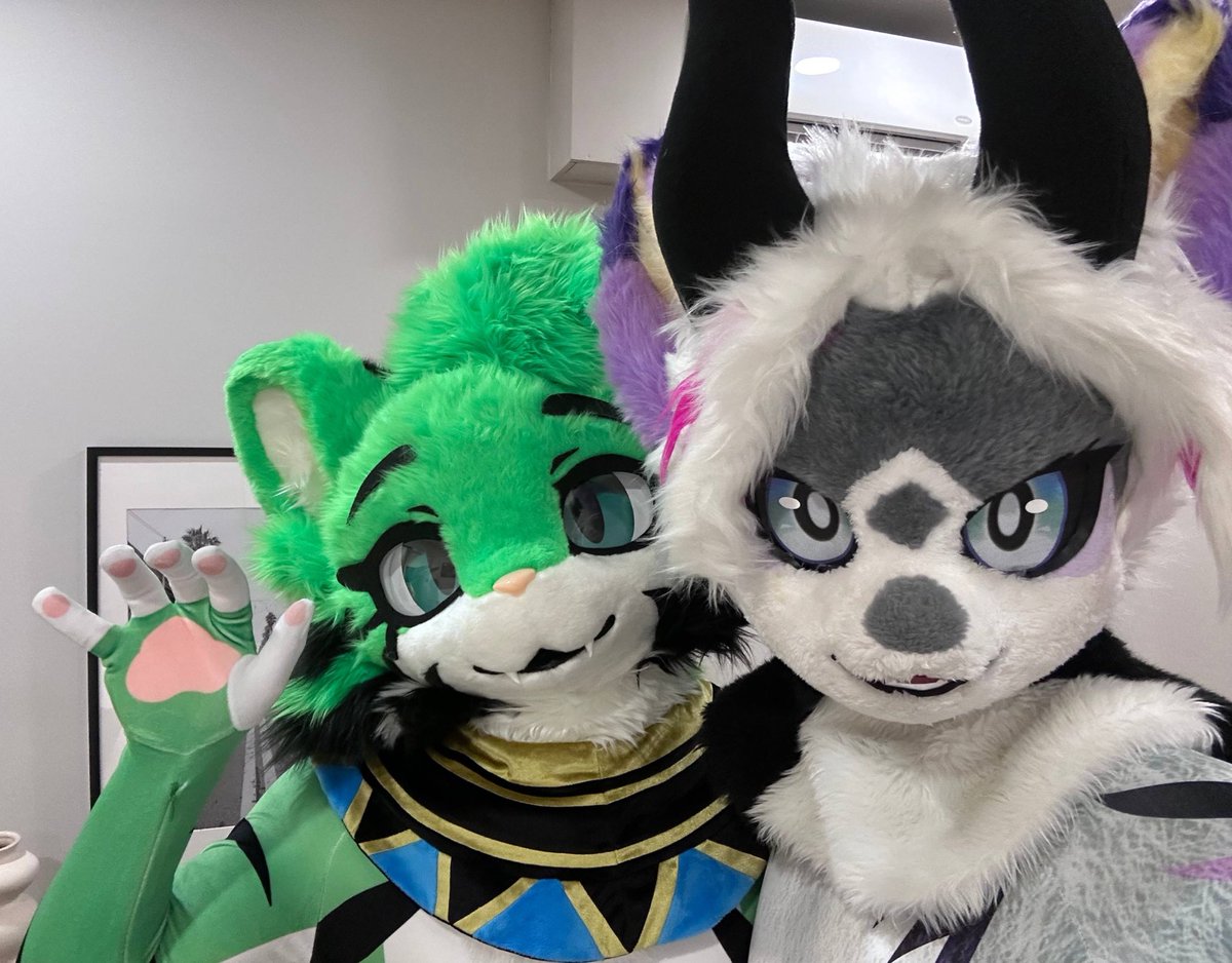 VTig (egregore)🐳 tweet media