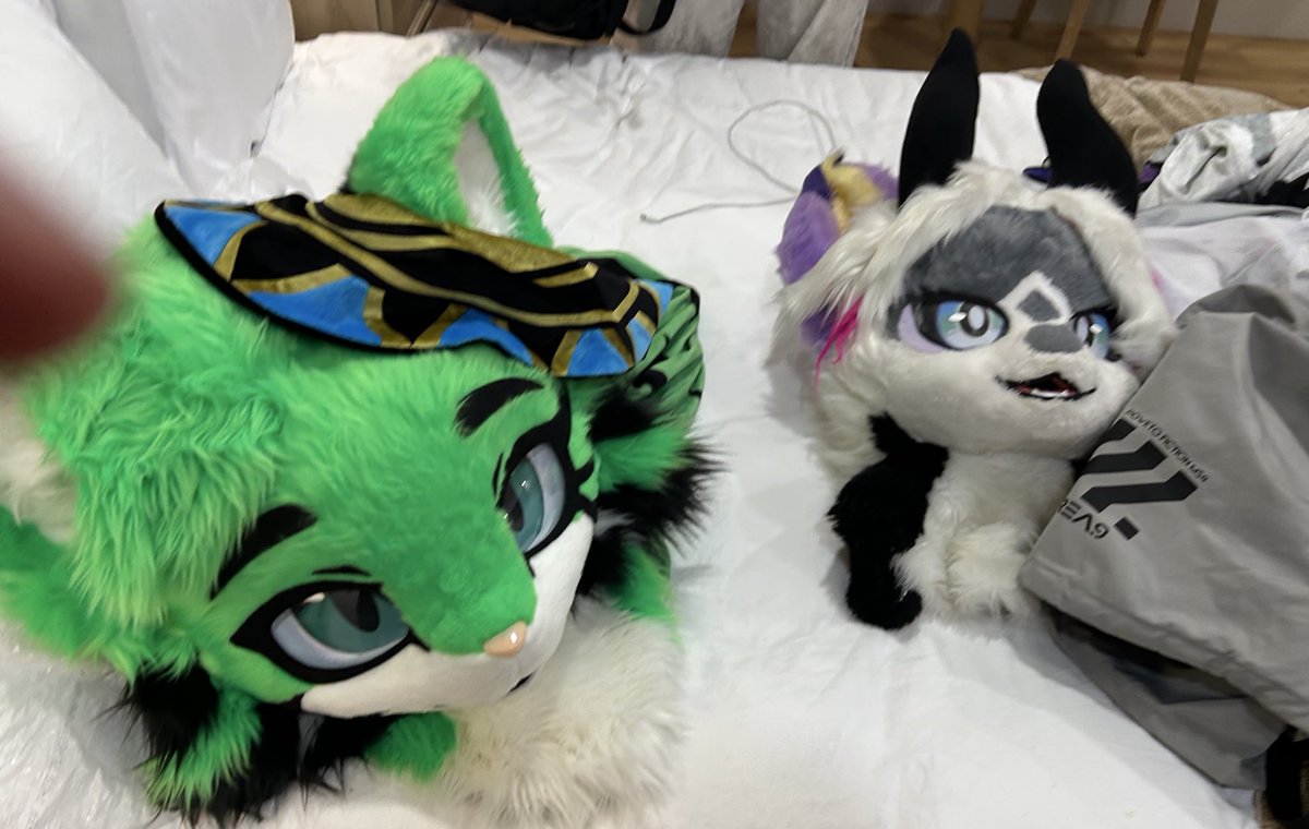 VTig (egregore)🐳 tweet media