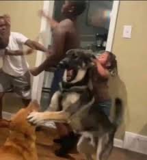 jay(ma985) ☆ ceo of jaymitri tweet media