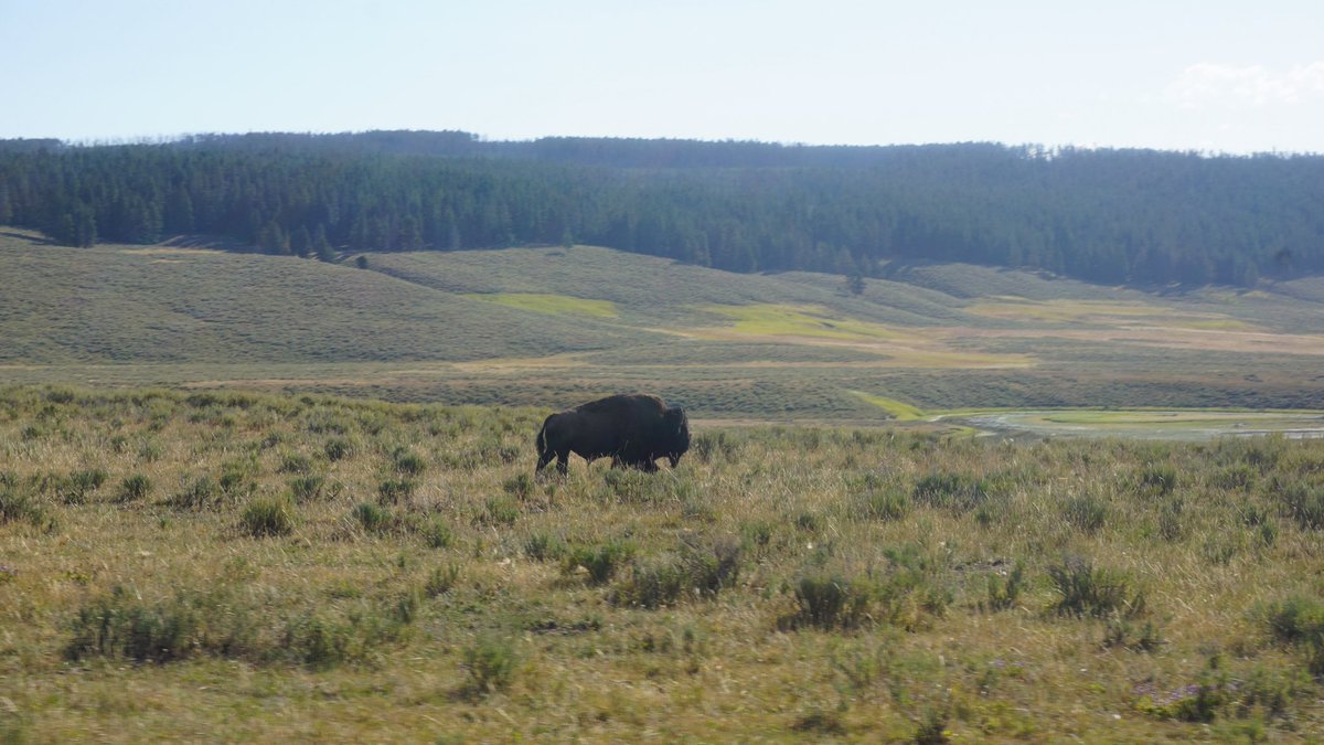 Tanner Mertlich tweet media