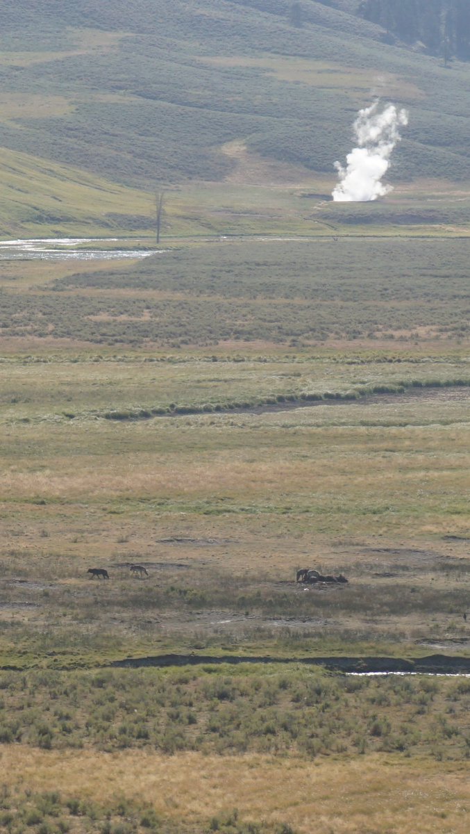 Tanner Mertlich tweet media