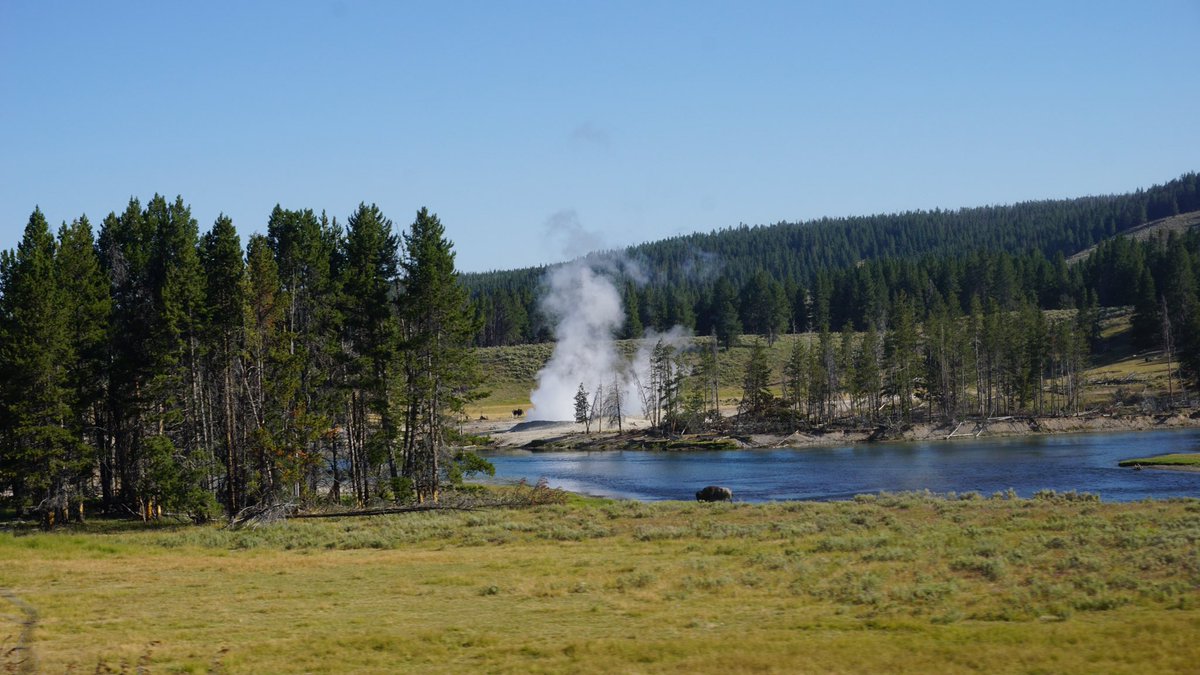 Tanner Mertlich tweet media