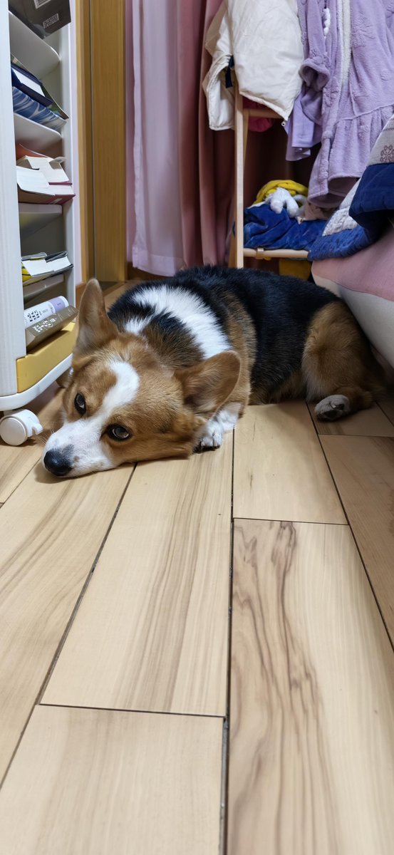 annienegi tweet media