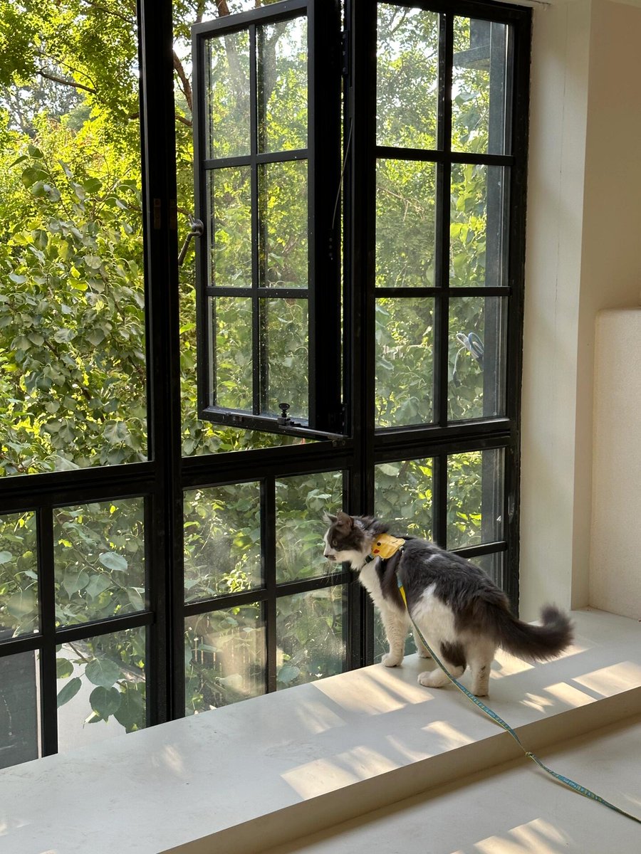 laura hays tweet media