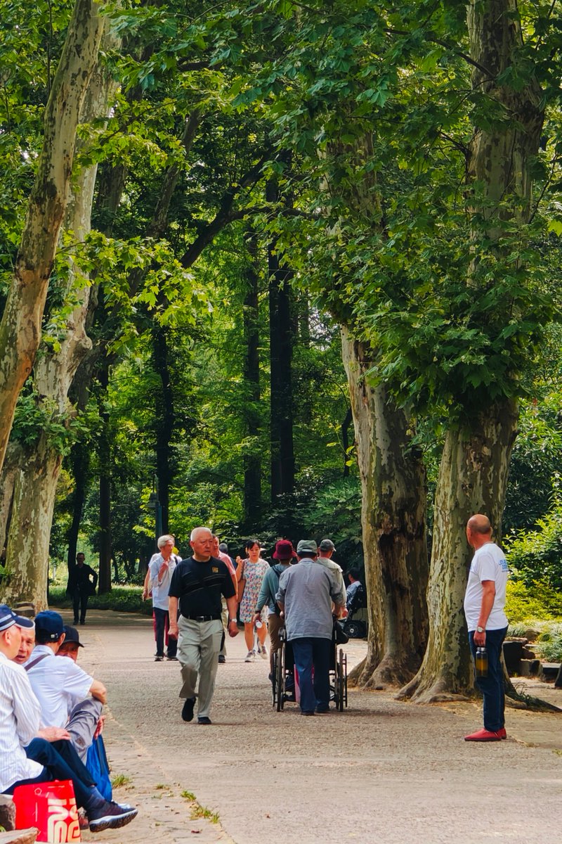 evans ben tweet media