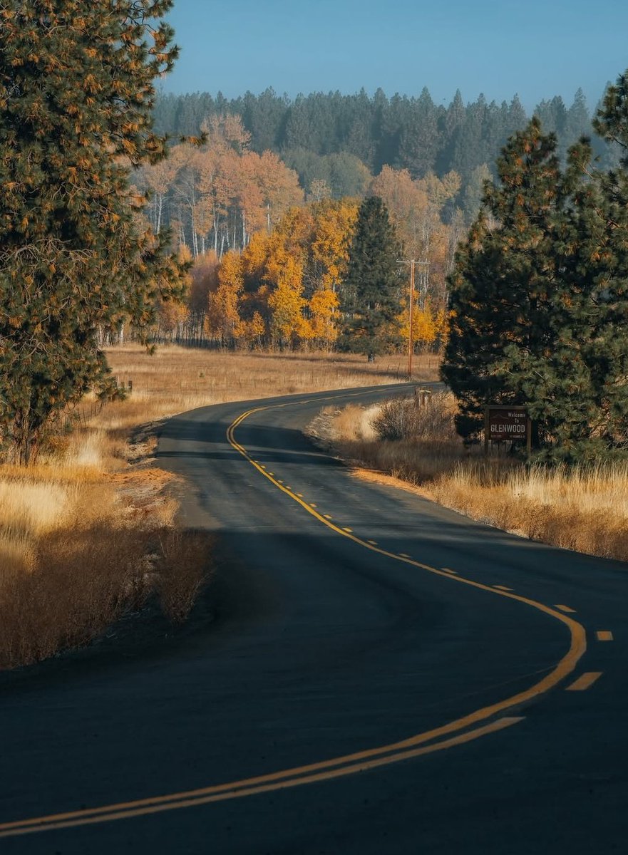 𝘄𝗮𝗻𝗱𝗲𝗿𝘁𝗿𝗮𝘃𝗲𝗹𝘀 tweet media