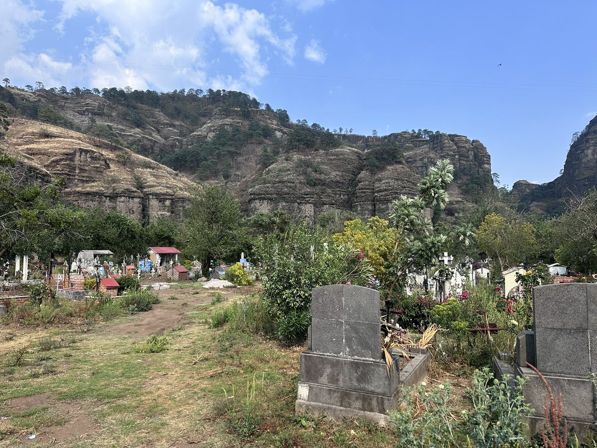 Damon Zumbroegel tweet media