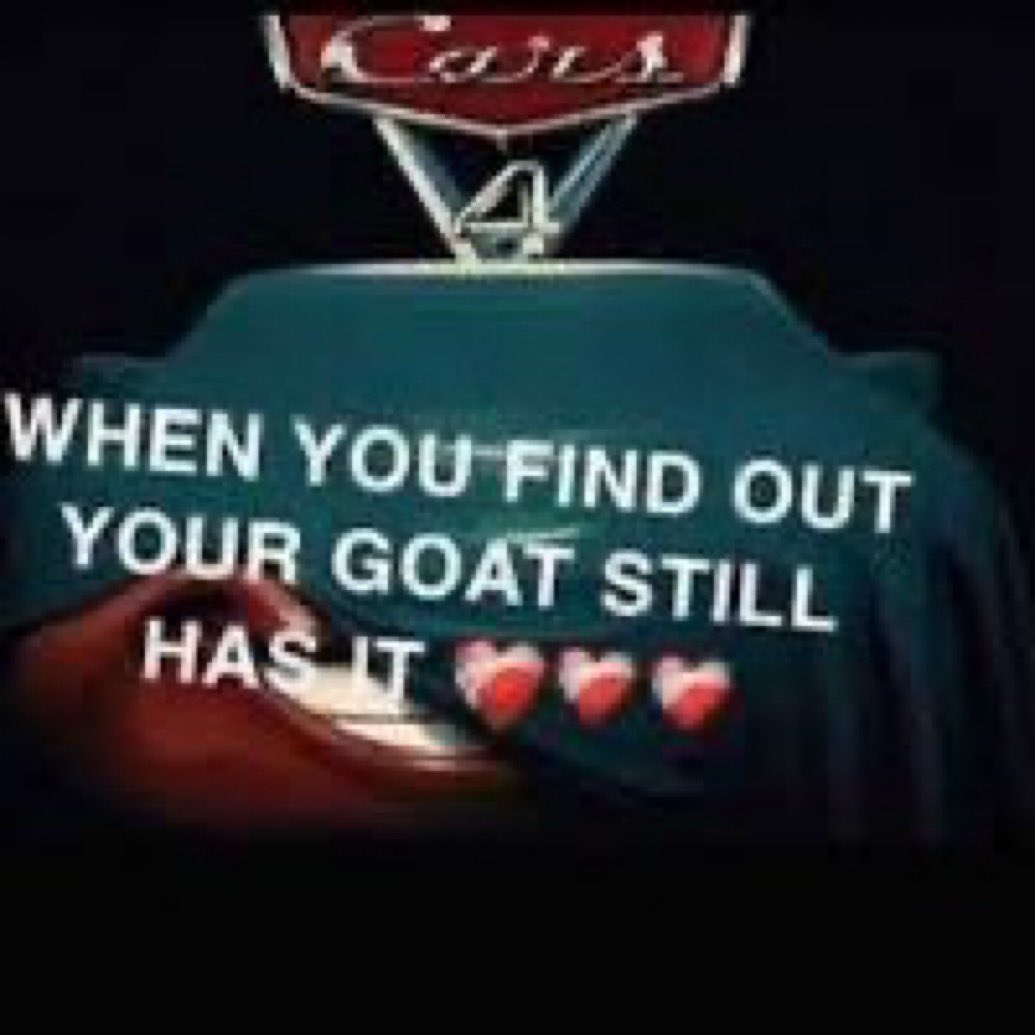 luz 🦭 tweet media