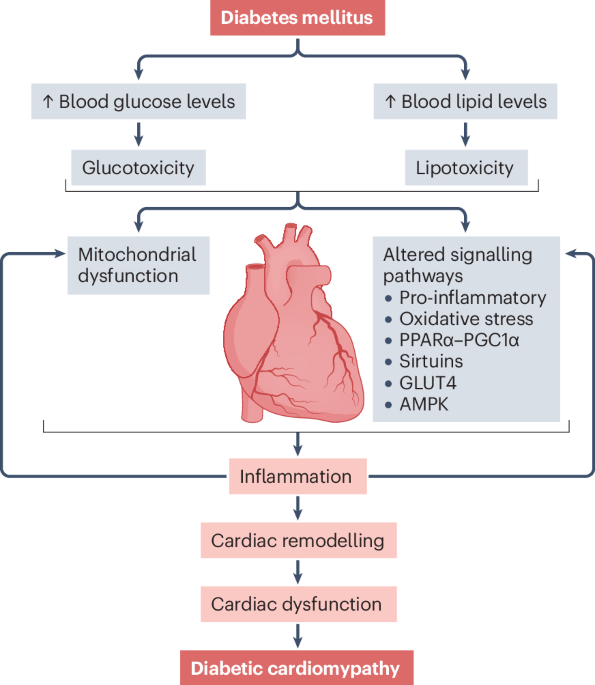 Nature Reviews Cardiology tweet media