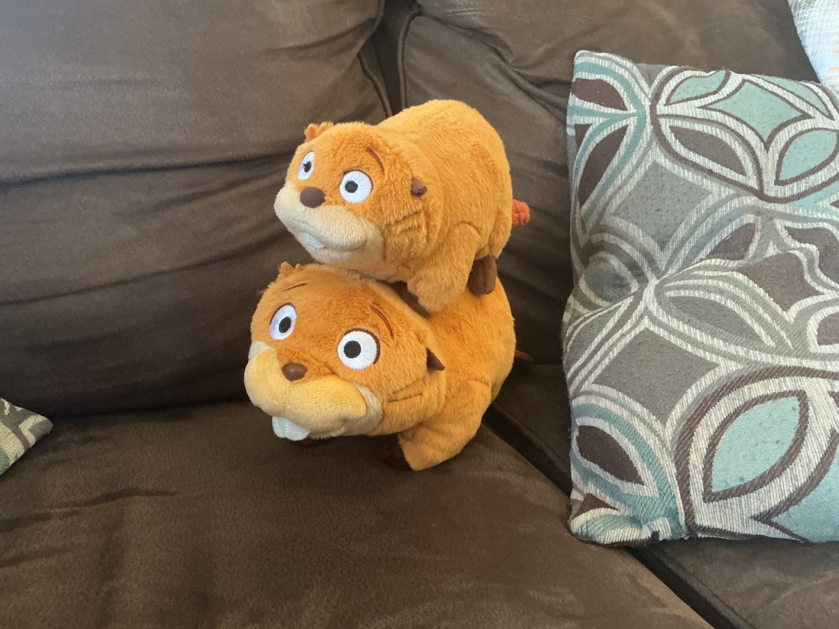 Cade32X (ZAC POWER HYPE) tweet media