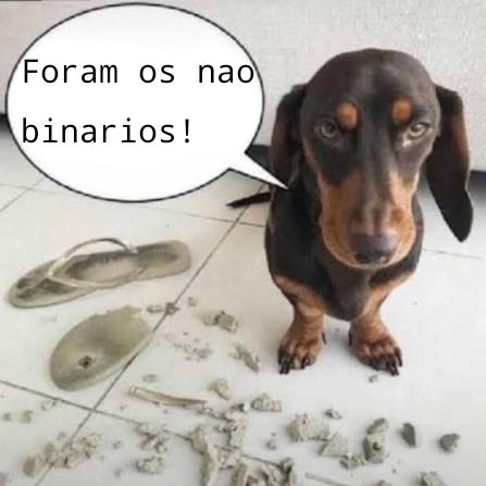 Kira Yamamoto tweet media