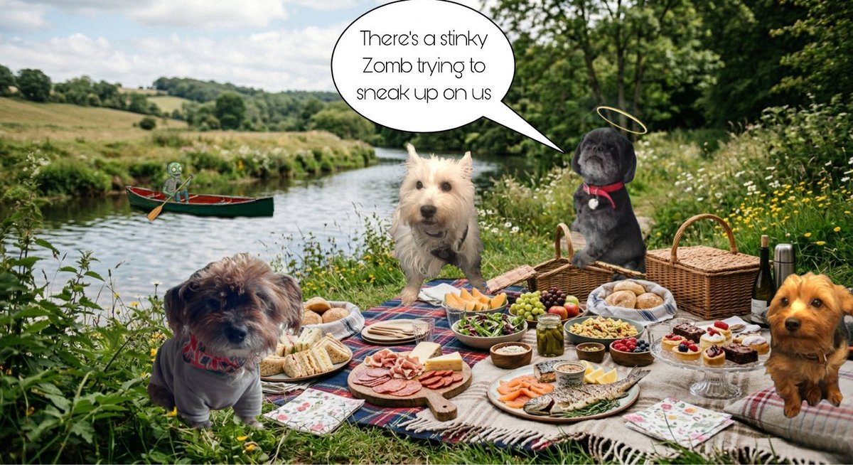 Finlay the Westie & his Mom tweet media