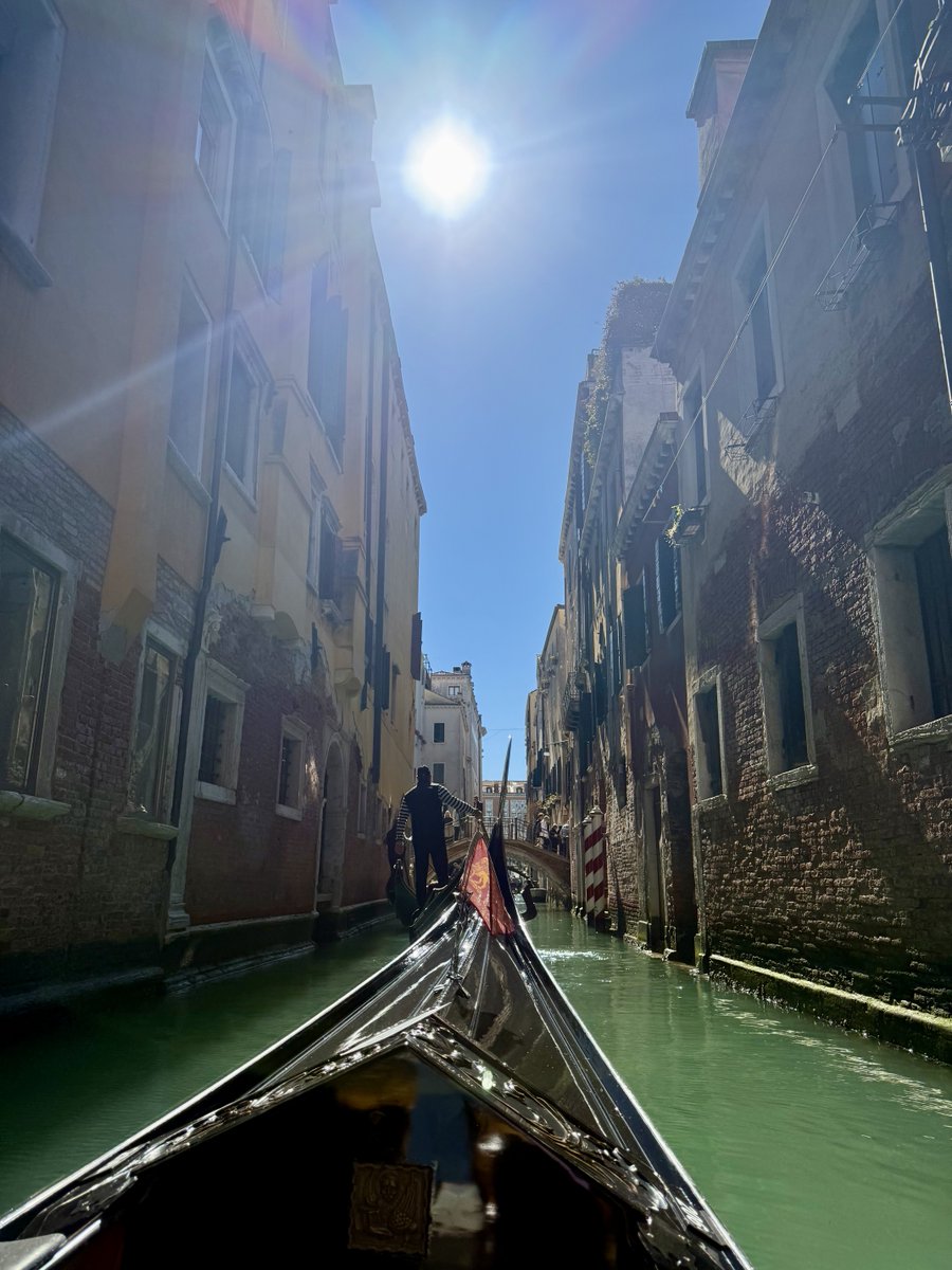 violet 🧠🐀 tweet media