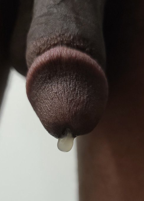 SUPERIOR TOP King 👑 tweet media