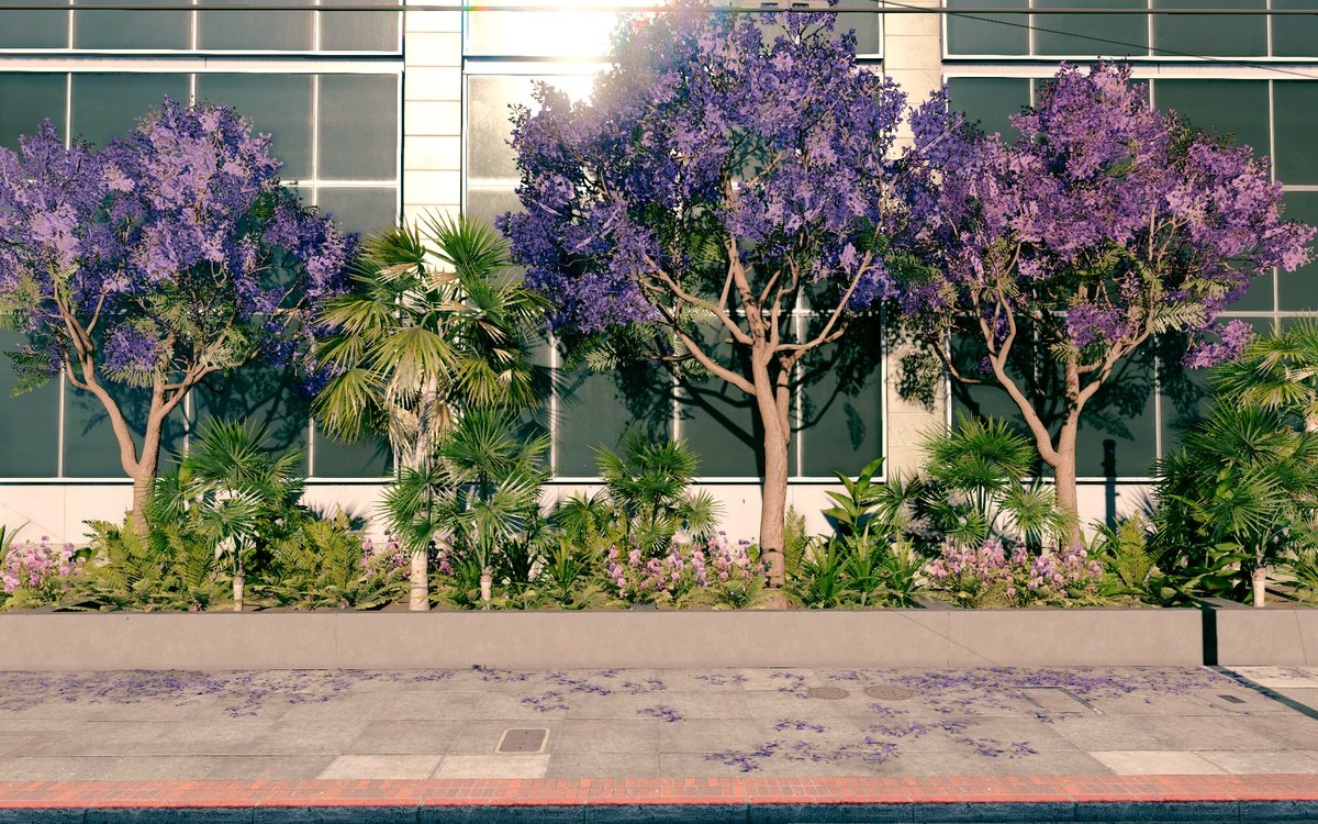 Adamir Sefwick tweet media