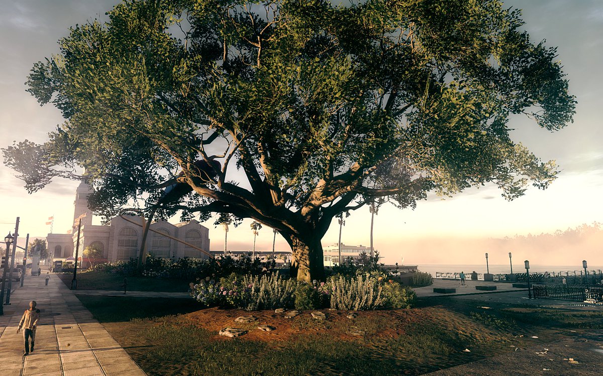 Adamir Sefwick tweet media